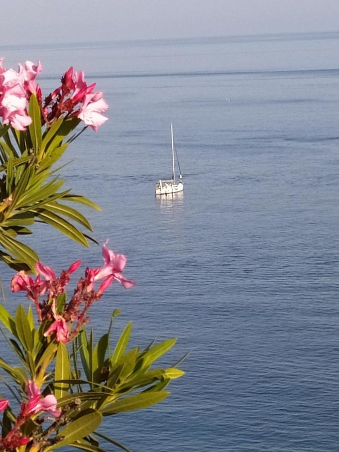 Las Palmeras Almuñécar Zewnętrze zdjęcie